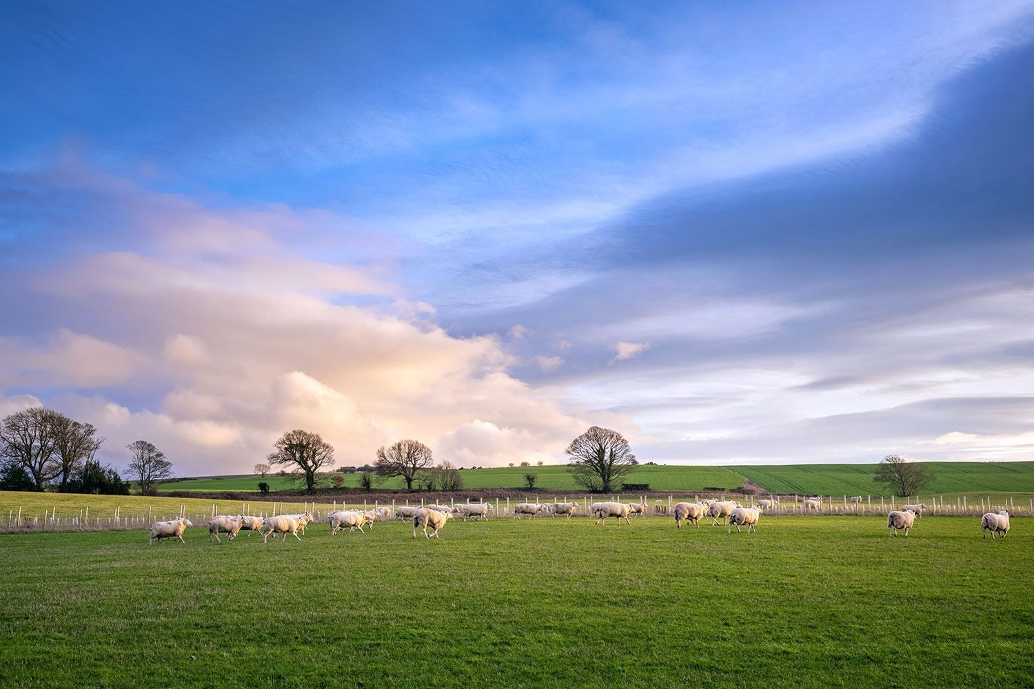 O impacto do orçamento de outono na agricultura familiar